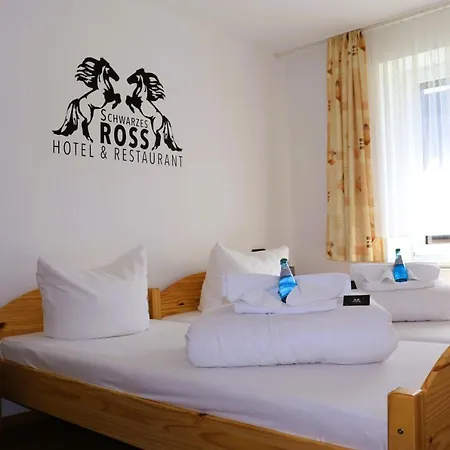 施瓦尔兹罗斯酒店 3* 奥泊维森塔尔