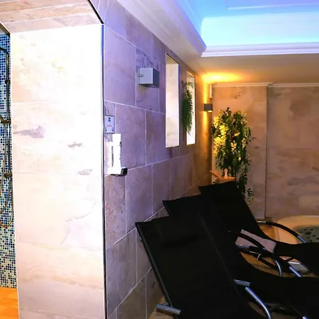 Hotel Schwarzes Ross Hotel&restaurant 3*