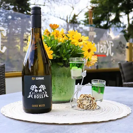 Hotel&Restaurant Schwarzes Ross Hotel 3*