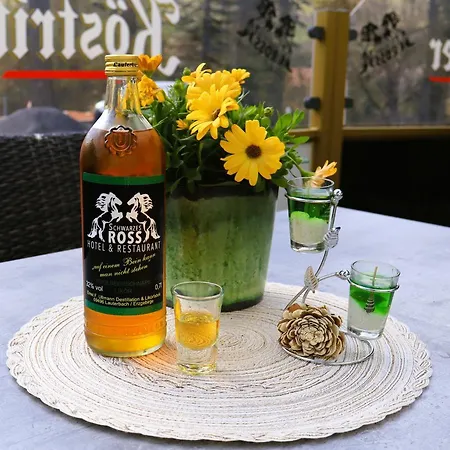 酒店 施瓦尔兹罗斯酒店