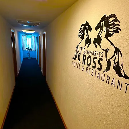Schwarzes Ross Hotel&restaurant Hotel Oberwiesenthal