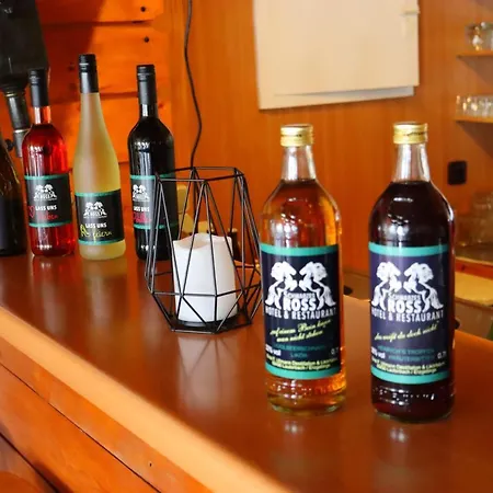 施瓦尔兹罗斯酒店