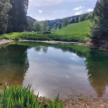 Hotel Pension Schwarzes Ross Hotel 3*