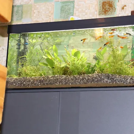 施瓦尔兹罗斯酒店 3*