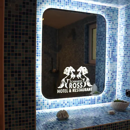 ホテル Hotel Pension Schwarzes Ross 3*