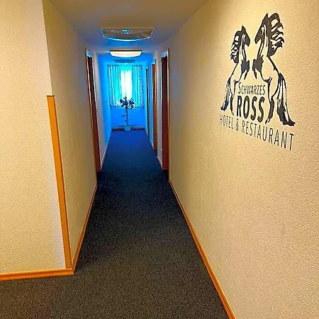 Schwarzes Ross & Restaurant 3* Oberwiesenthal
