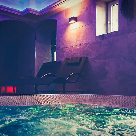 Schwarzes Ross Hotel&restaurant Hotel Oberwiesenthal