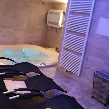 Schwarzes Ross Hotel&restaurant 3* Oberwiesenthal