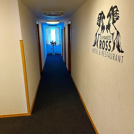 Hotel Schwarzes Ross Hotel&restaurant Oberwiesenthal