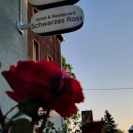 Hotel Schwarzes Ross Hotel&restaurant