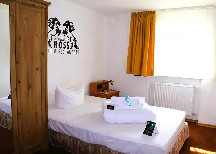 Hotel Schwarzes Ross & Restaurant Oberwiesenthal