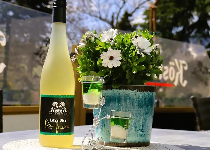 Schwarzes Ross & Restaurant Hotel 3*