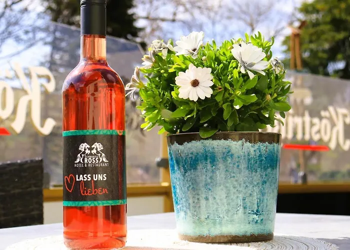 Schwarzes Ross & Restaurant 3* Oberwiesenthal