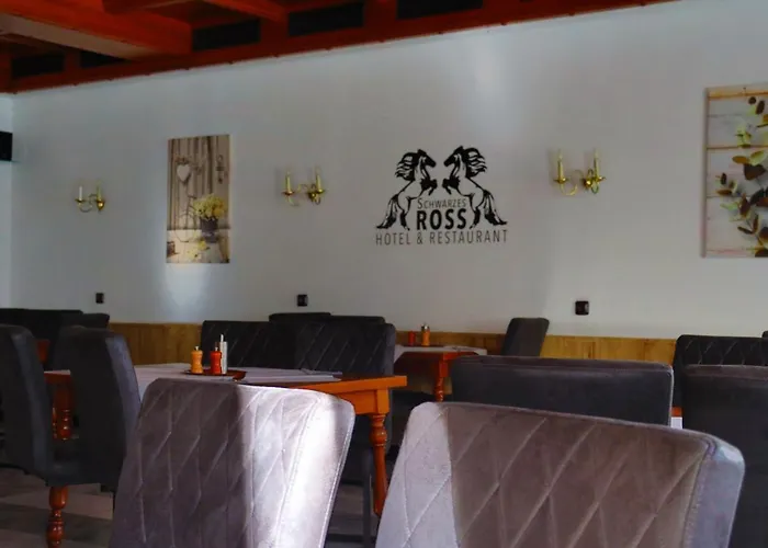 Hotel Schwarzes Ross & Restaurant 3*