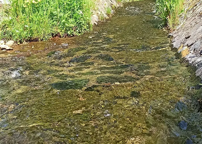 Schwarzes Ross & Restaurant 3*