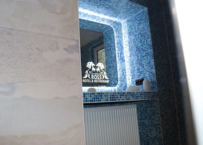 Schwarzes Ross & Restaurant 3*