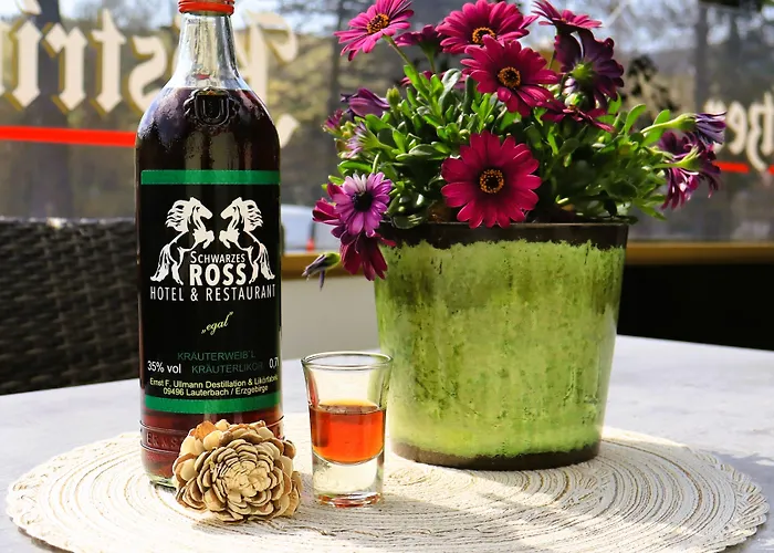 Szálloda Schwarzes Ross & Restaurant Oberwiesenthal