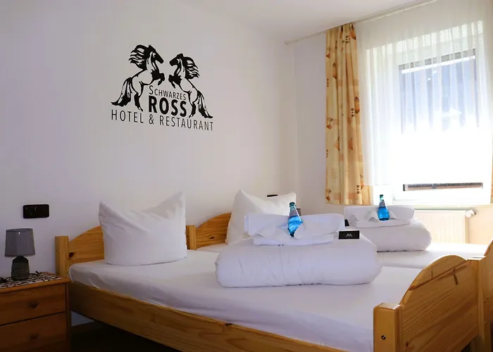 Schwarzes Ross & Restaurant 3* Oberwiesenthal
