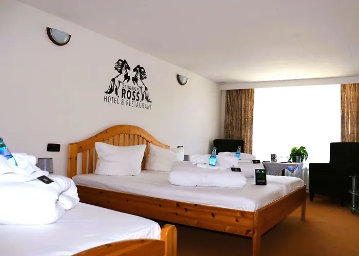 Schwarzes Ross & Restaurant Hotel 3*