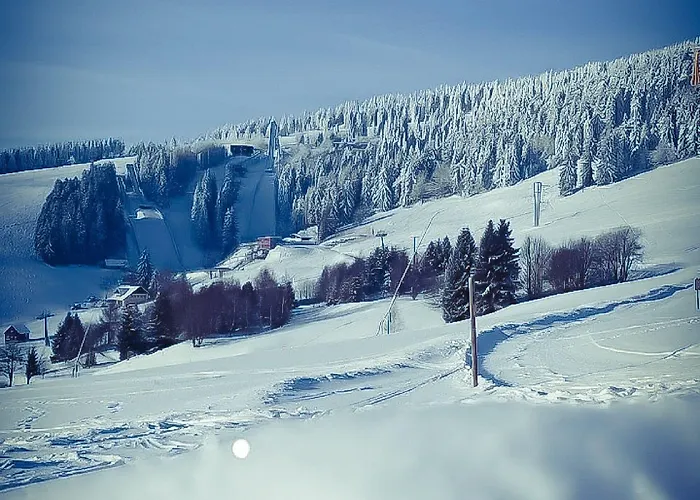 Schwarzes Ross & Restaurant Szálloda