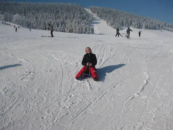 Schwarzes Ross & Restaurant Oberwiesenthal